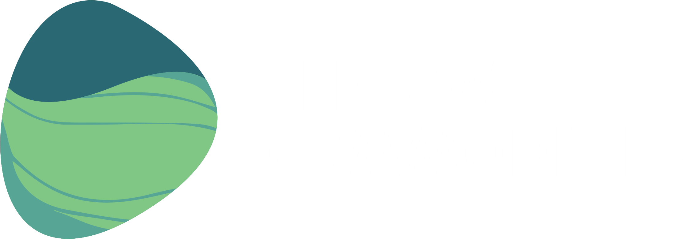 Prudent Effsow Commodities Ltd